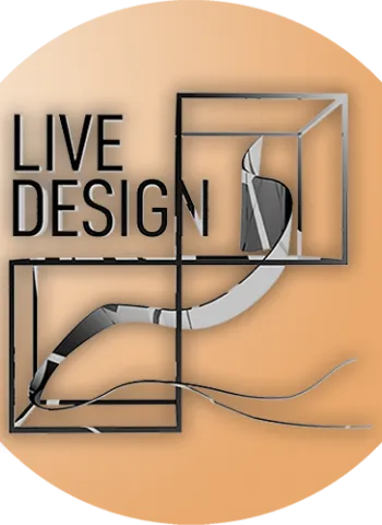 orange design showcase graphic 2020