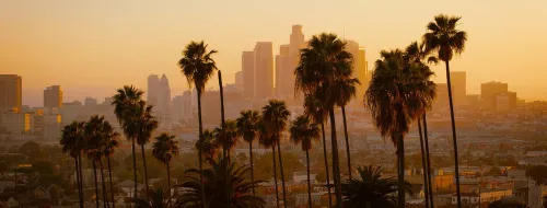 Skyline LA