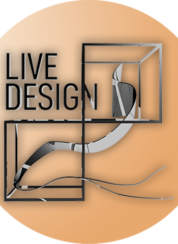 orange design showcase graphic 2020