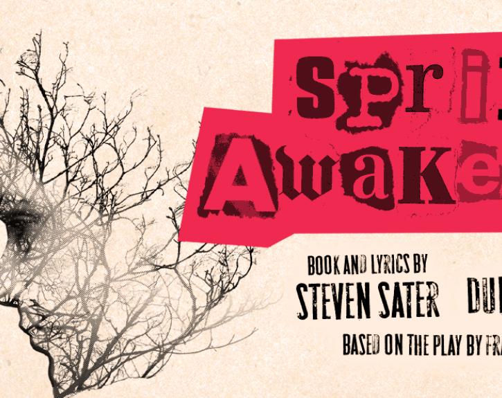 spring awakening poster broadway