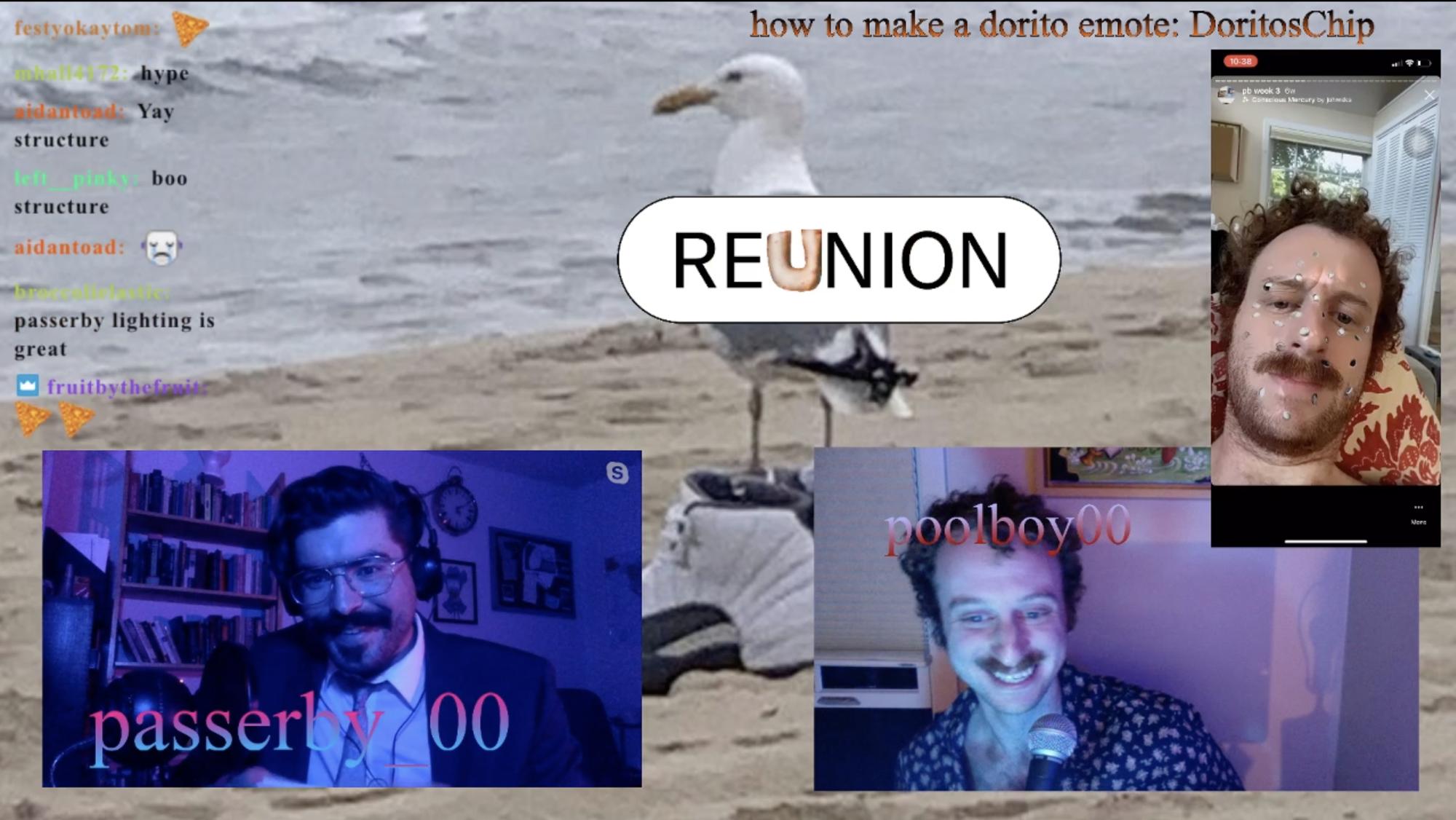 two men in their own streaming windows have a conversation, layered over a Twitch screen with a chat and an image of a seagull
