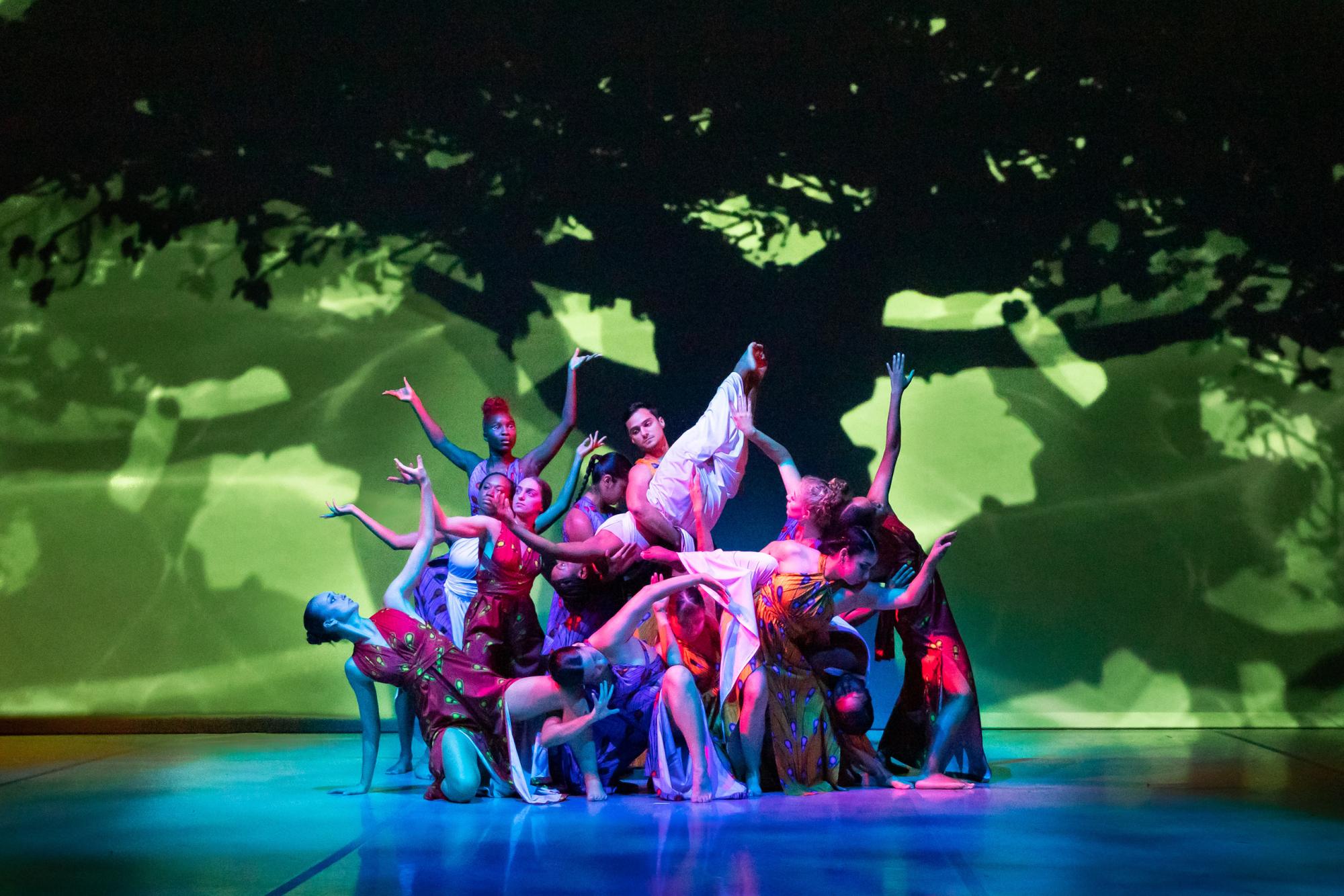 a large group of dancers pose in a combined form in front of a giant tree backdrop