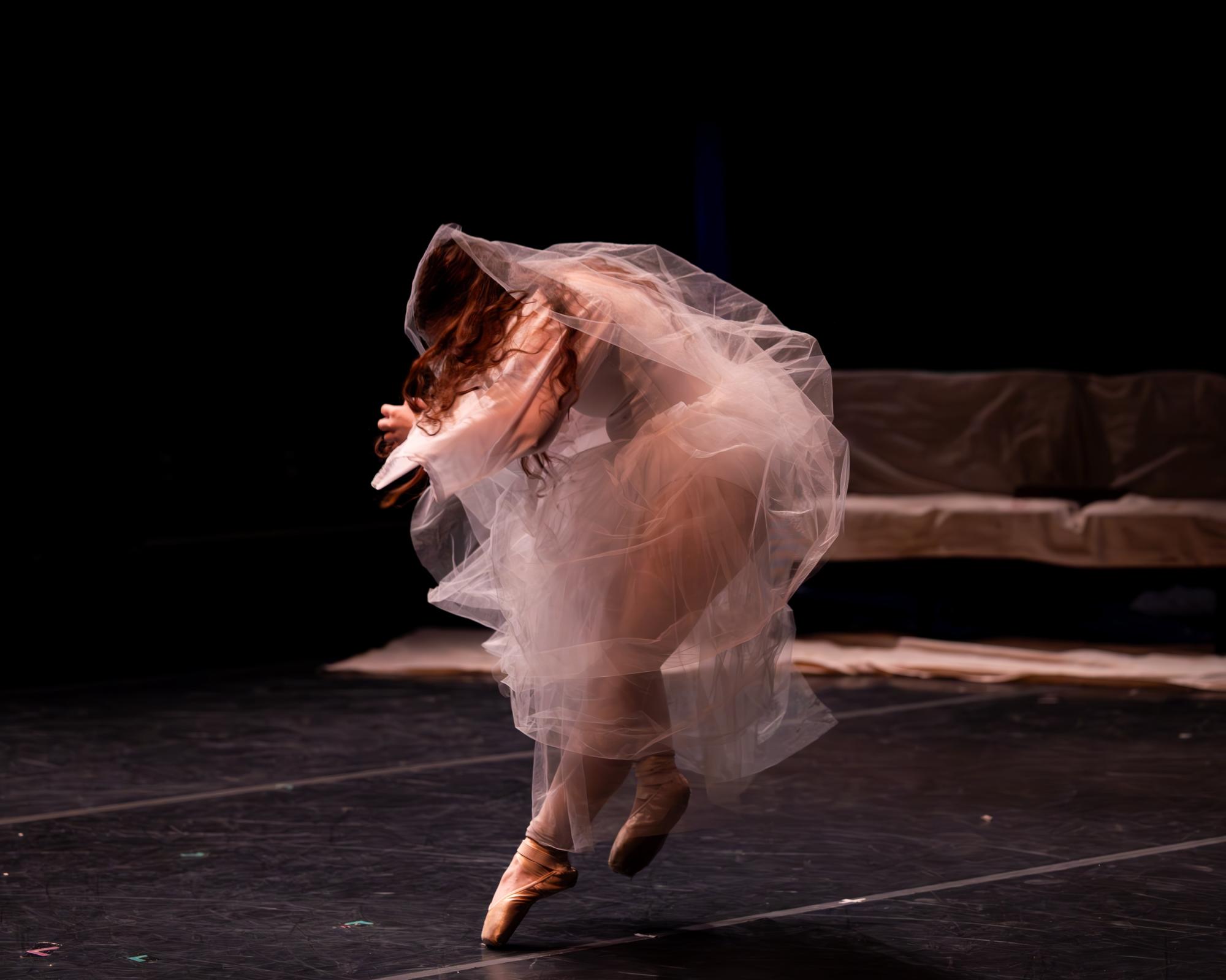 Photo of ballet dancer covered in her tulle skirt