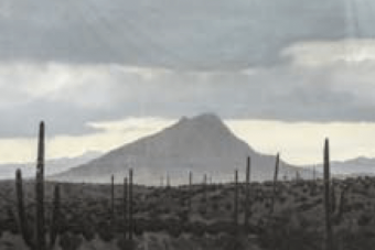 a gray-toned painted backdrop depicting a desert scene with cacti and mountains in the distance