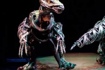 raptor in enron