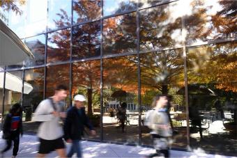 students on campus at UT Austin